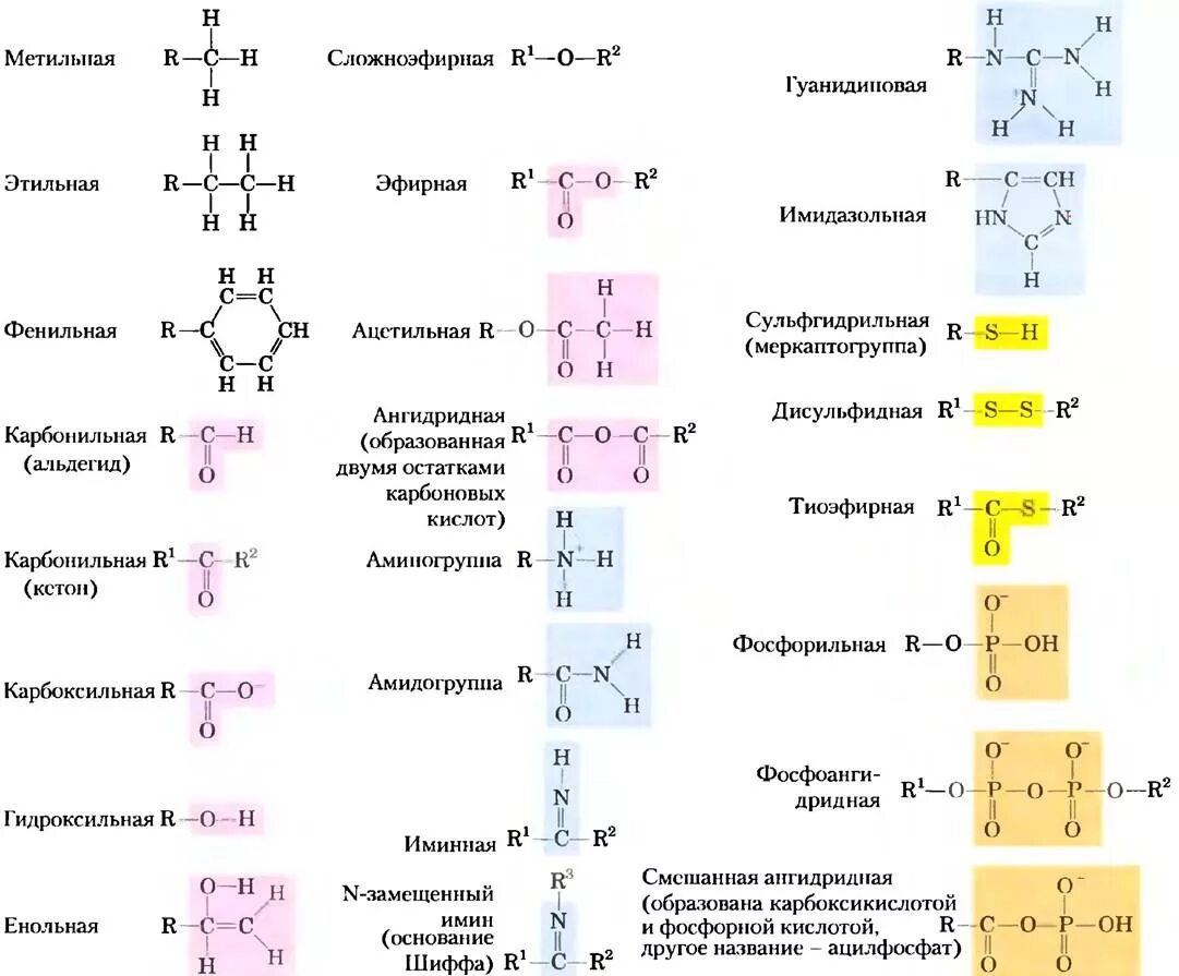 Какое вещество содержит сложноэфирную группировку атомов