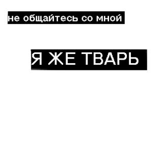 Песня тварь слова