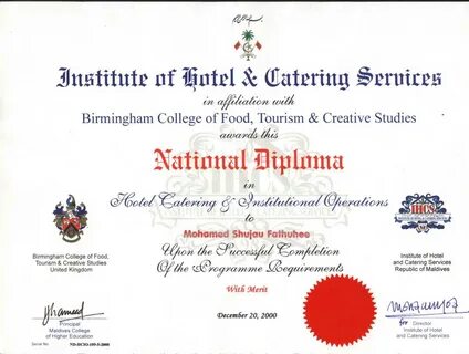 Diploma education
