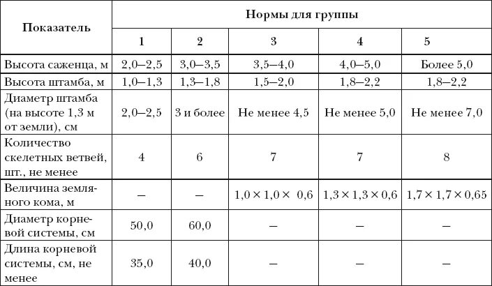 Классификация саженцев деревьев по группам. Высота деревьев и кустарников. Среднерослые и высокорослые деревья высота. Группы деревьев по высоте.