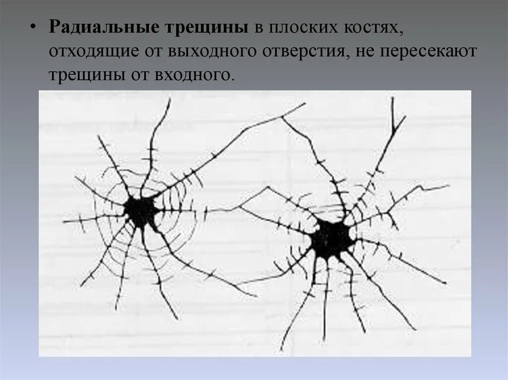 Распространение трещин. Радиальные и концентрические линии на стекле. Радиальные трещины на стекле. Концентрические трещины. Радиальные и концентрические линии выстрела.