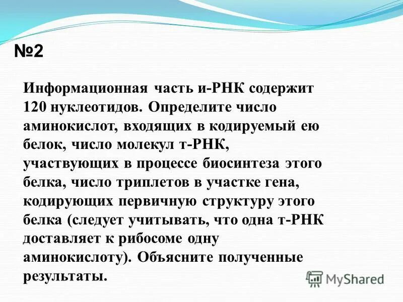 Гены это участки молекулы. Ген участок днк. Строение гена эукариот экзоны и интроны. Структура гена эукариот. Участок молекулы днк.