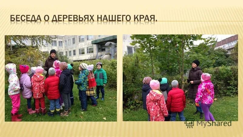 беседа деревья. плакат. беседа деревья. м м пришвин разговор деревьев. беседа деревья.