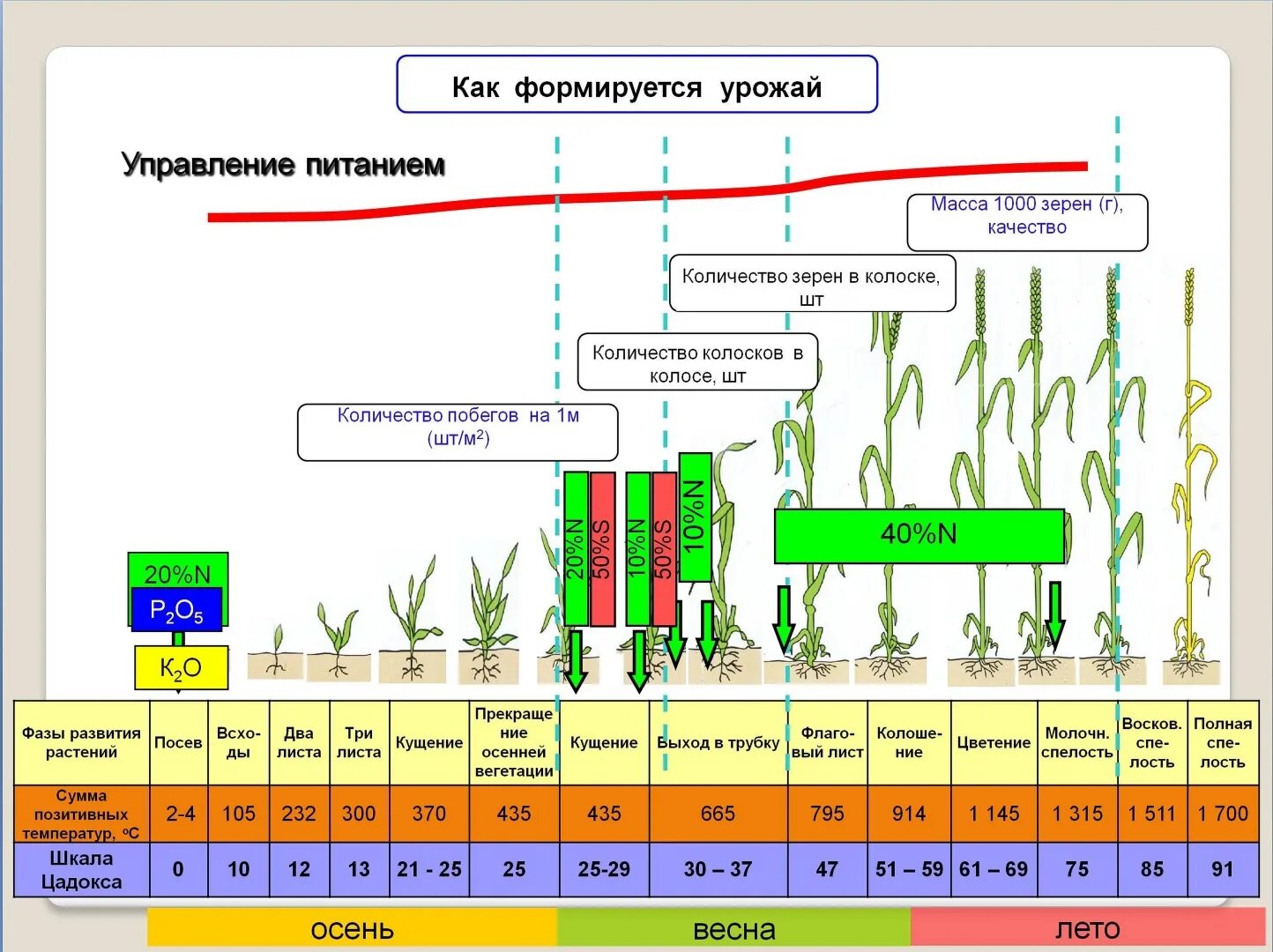 Удобрения урожайность