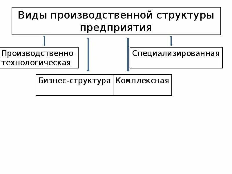 Организация ее виды структура. Типы производственной структуры предприятия. Видовая производственная структура. Разновидности производственных структур предприятия. Производственная структура предприятия это в экономике.