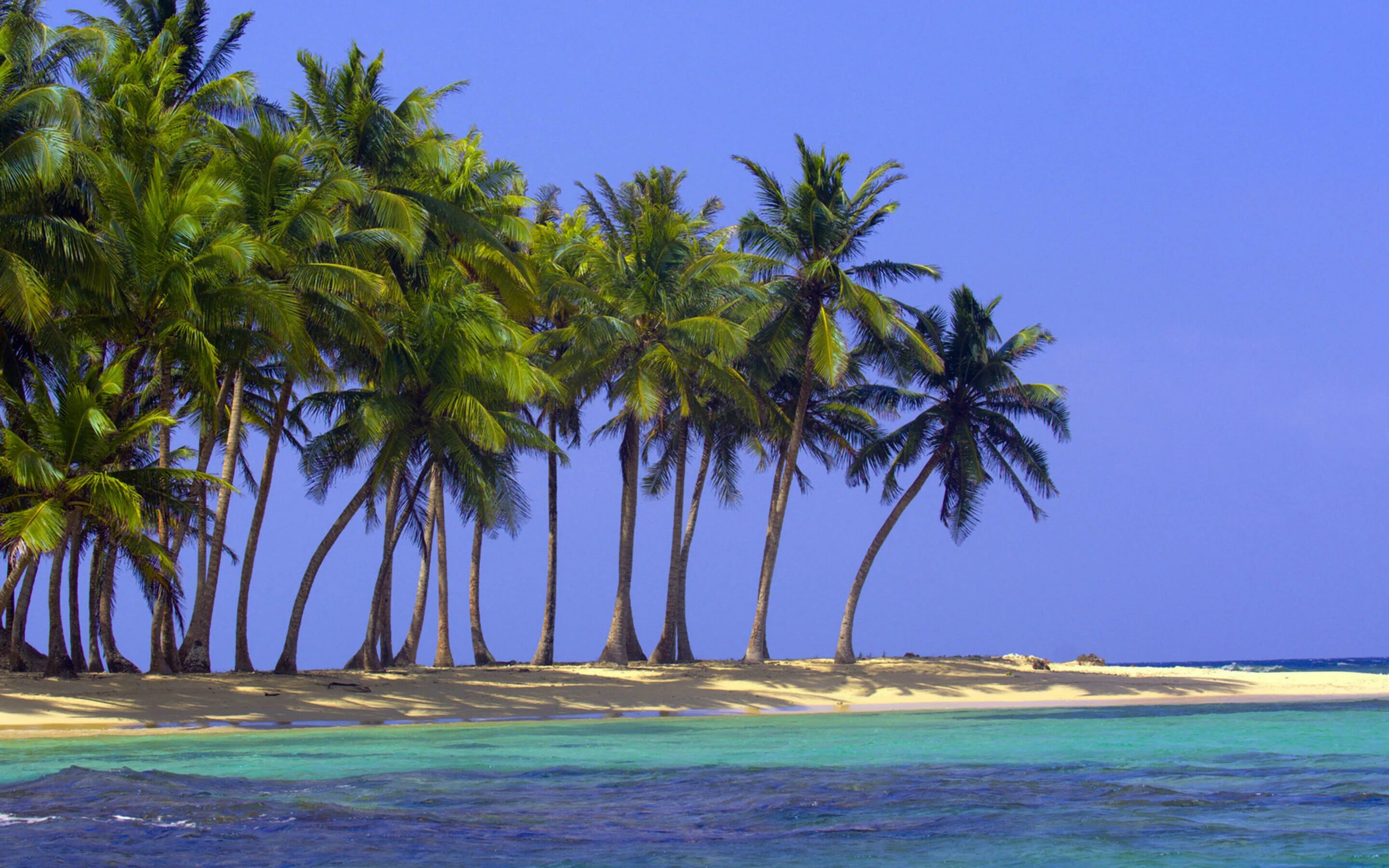 Остров бора-бора (bora-bora). Природа море. Океан пляж. Национальный парк верджин-айлендс. Остров рабочий стол.