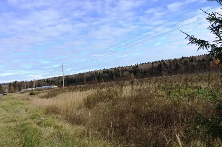 Деревня ашукино московская область. Днп данилово-2. Пестово семеновское коттеджный поселок. О. Анненка клинский район.