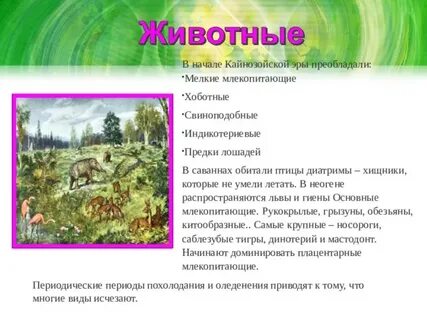 Какие горы образовались в кайнозойскую эпоху
