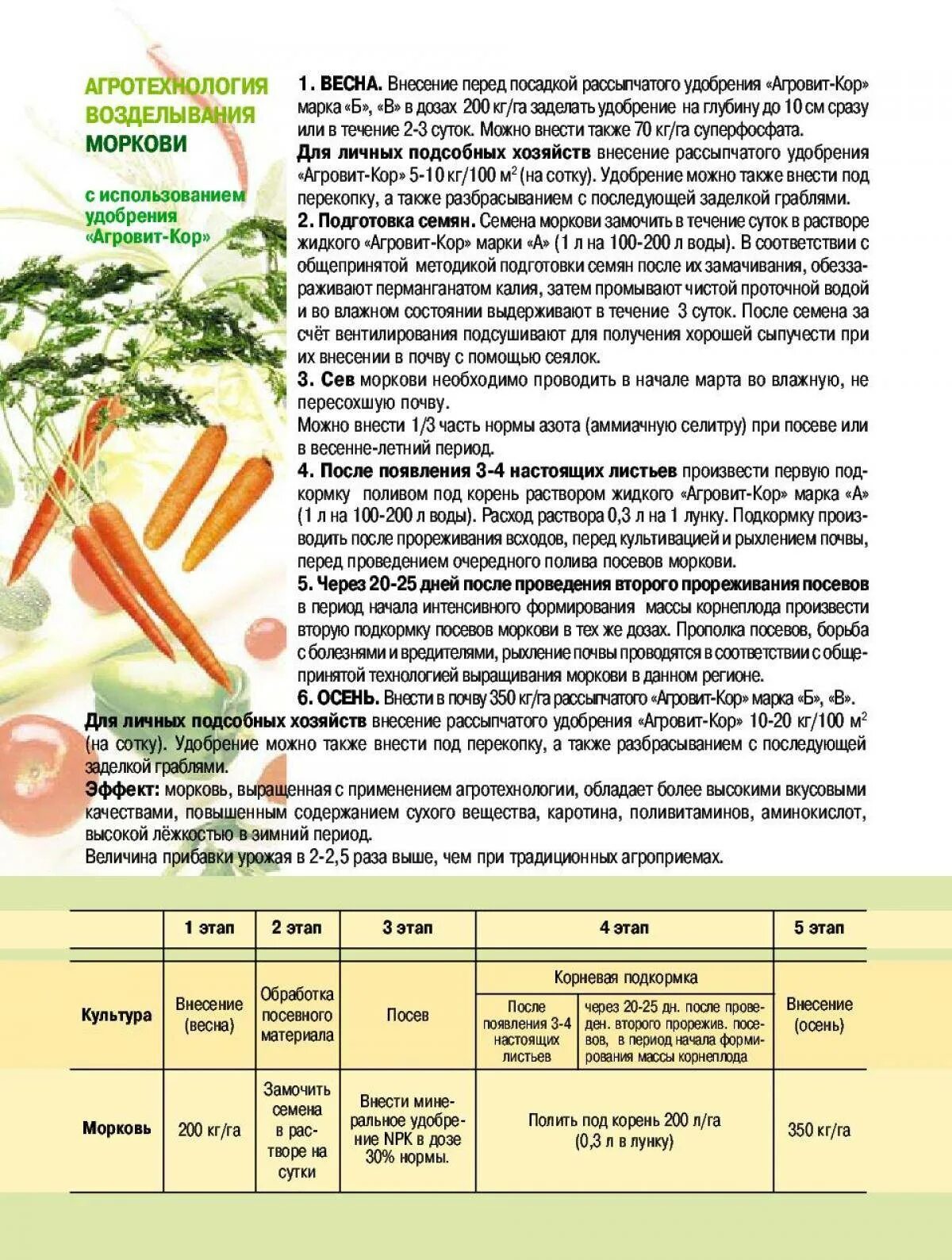 Замачивать ли морковь перед посадкой. Схема удобрения моркови. Схема внесения удобрений для моркови. Подкормка моркови. Минеральные удобрения для моркови.