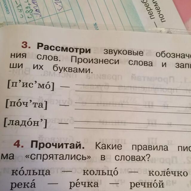 Какое числительное спряталось в слове подвал