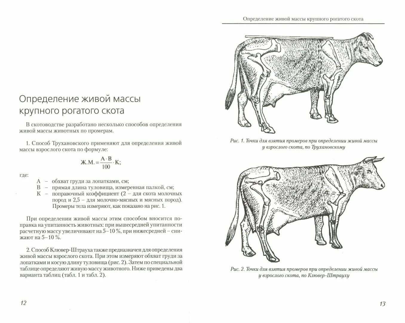 Живой вес теленка. Как измерить живой вес КРС. Таблица измерения крупнорогатого скота. Таблица определения живого веса крупного рогатого скота. Таблица замера КРС живым весом Быков.