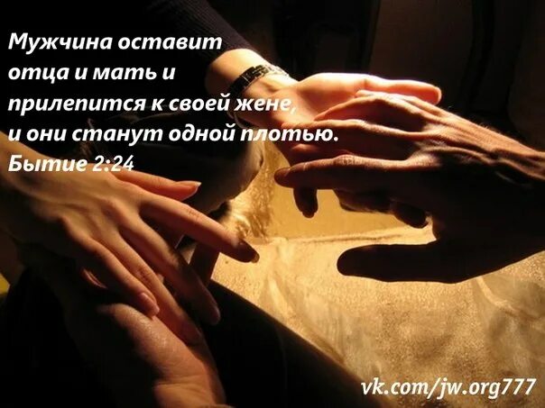 И будут два одной плотью