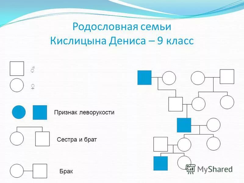 Составить родословную своей семьи 9 класс. Составление генеалогического дерева. Родословная по генетике с болезнями. Схема родословной семьи биология. Составить родословную своей семьи 9 класс.