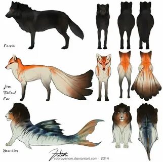 Animal oc