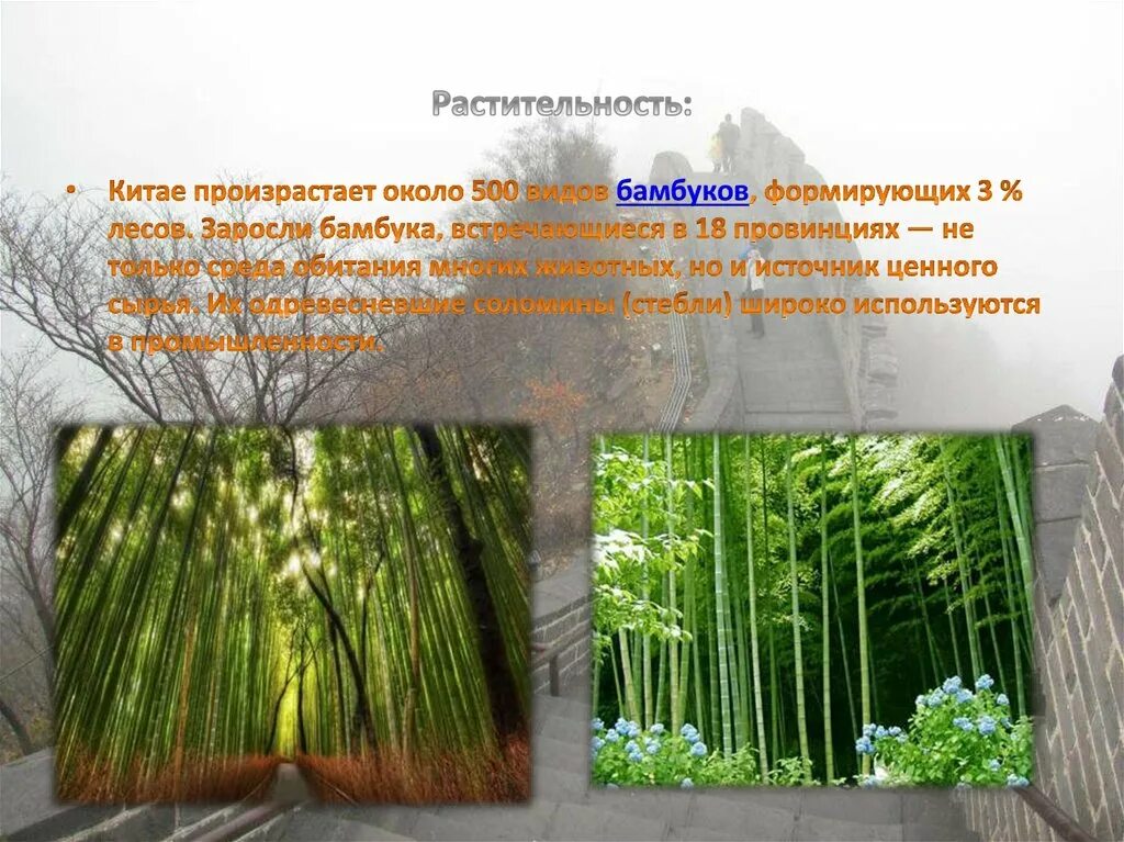 Реки и озера китая слайд. Южная корея доклад. Основные элементы природы китая. Природа китая сообщение. Растительный мир китая кратко.