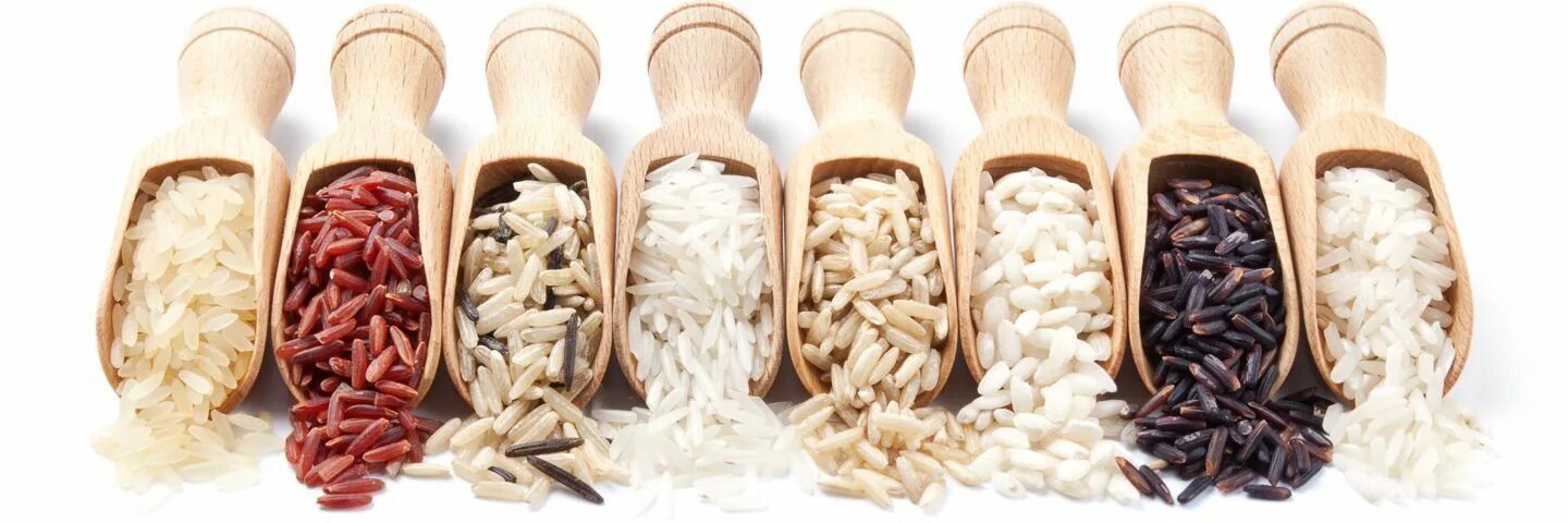 Различие риса. Сорта риса. Виды риса. Сорта бурого риса. Рис виды и сорта.