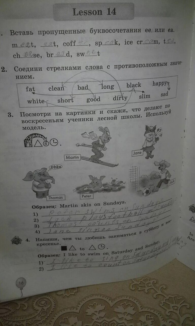 Гдз по английскому 3 класс рабочая тетрадь м.3 биболетова. Английский язык 3 класс рабочая тетрадь биболетова ответы. Английский язык 3 класс рабочая тетрадь 1 часть стр 44 биболетова. Урок 63 тетрадь биболетова Соедини слова с противоположными shy.