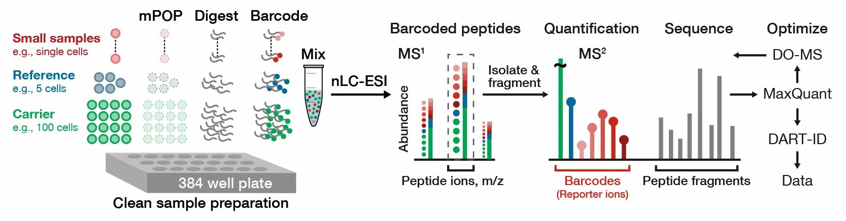 Methods including. Mass Spectrometry MS/MS Proteomics. 2. Масс-спектрометрия. Mass Spectrometry Analysis. Протеомика.