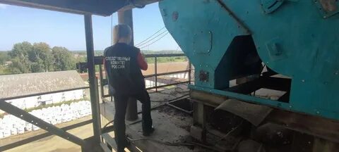 Засыпало зерном