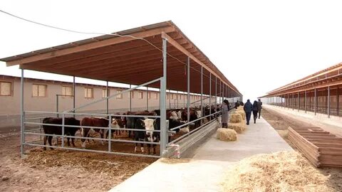 Леанның әдемі фотосы