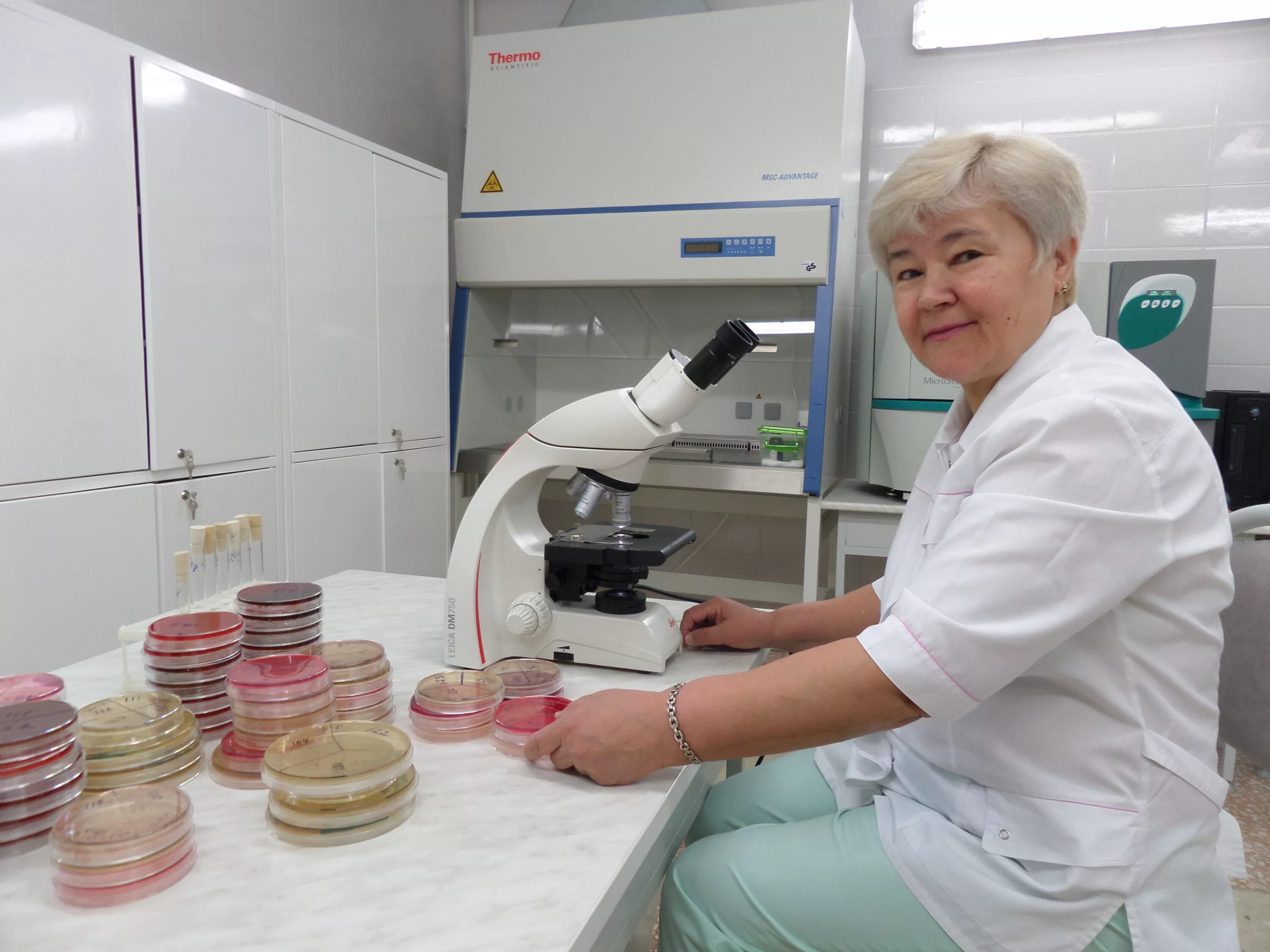 Василенко валентина васильевна. Лаборант бактериолог. Врач бактериолог. Врач бактериолог. Микробиолог лаборатория.