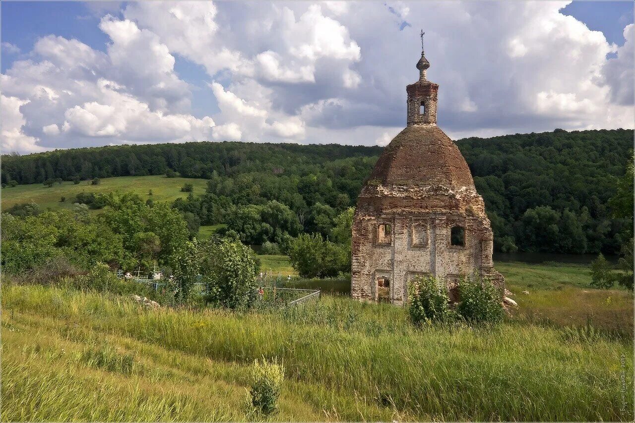 Природа Тулы и Тульской области. Природа Тульской Тульской области-. Маслово Тульская область. Природа тульского края.