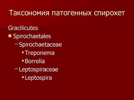 Таксономия микоплазм
