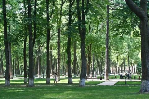 Парк петрозаводск