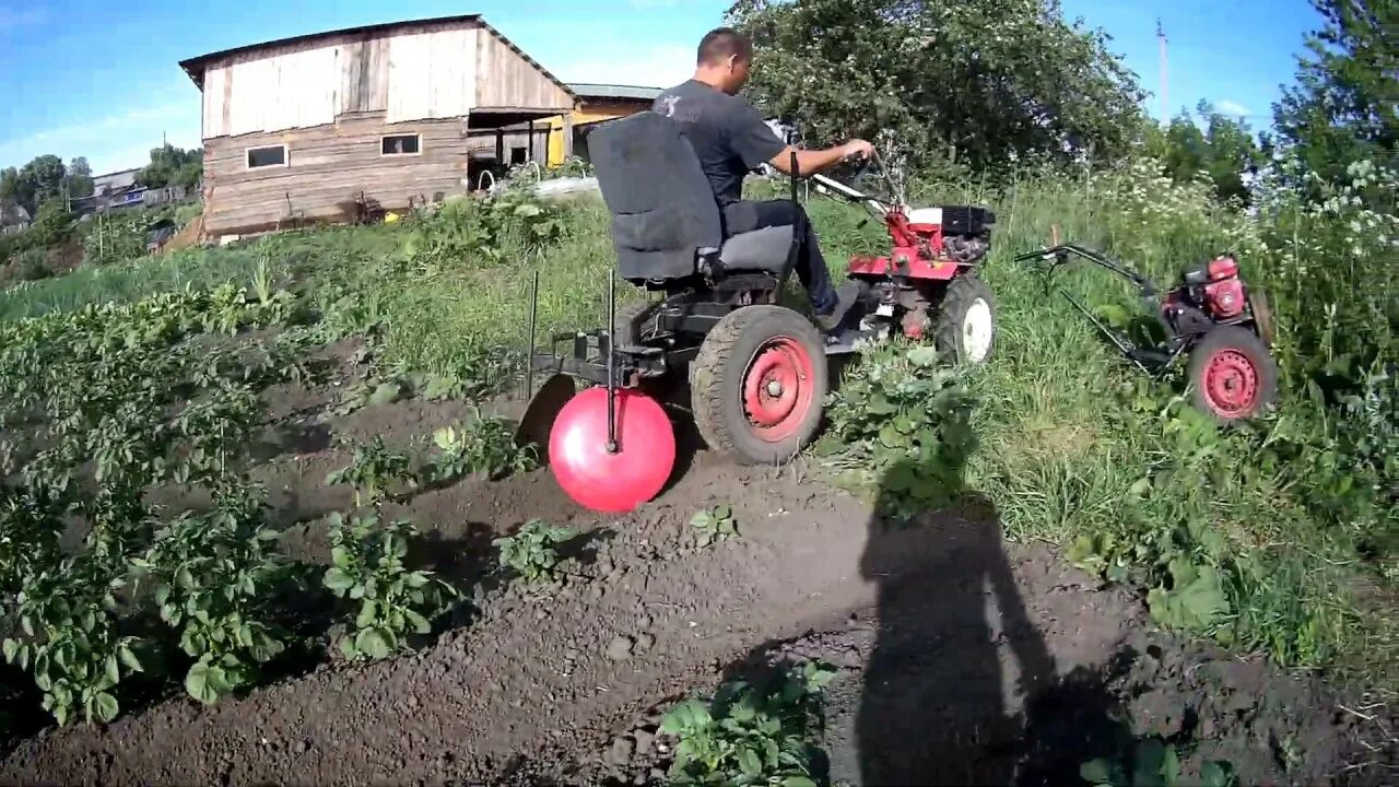 Как посадить картошку под мотоблок окучником правильно. Окучивание картошки мотоблоком брайт. мотоблок окучивает картошку. окучивать картошку мотоблоком. выкапывание картофеля мотоблоком ока.