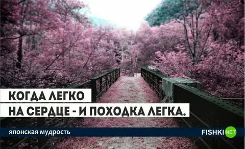 Японские цитаты