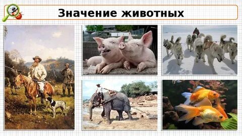 Значение изображений животных