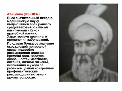 Авицена телефон