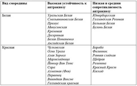 Антракноз лечение препараты