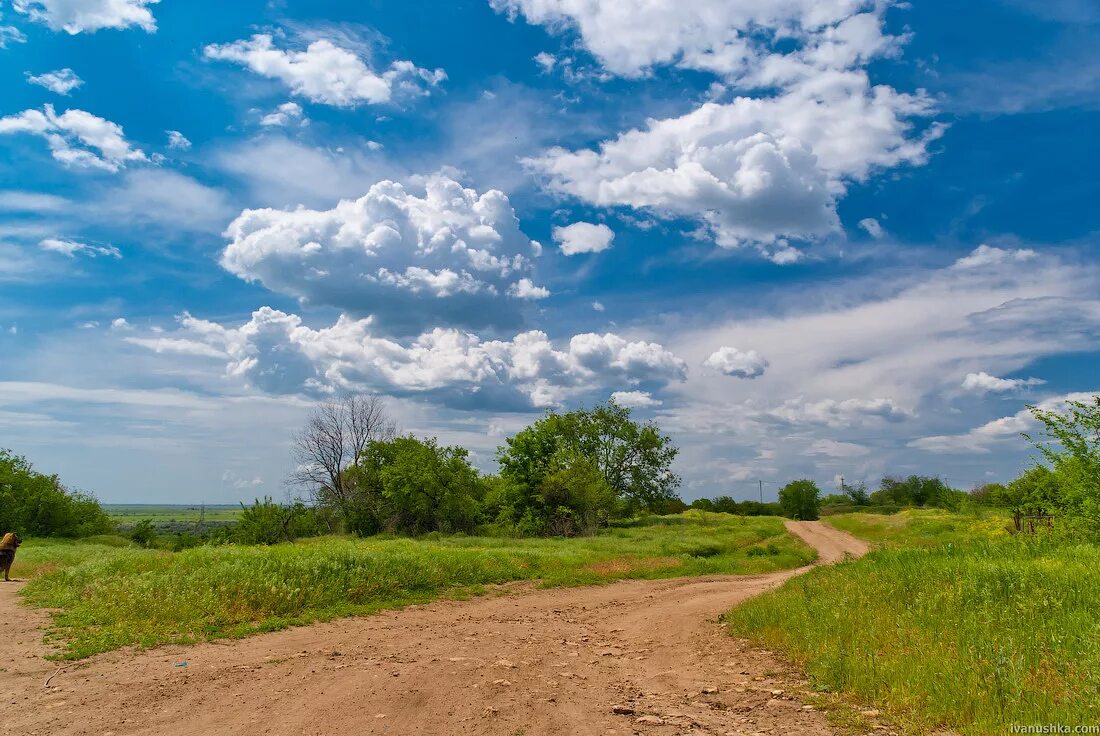 Village don. Среднерусская деревня. Пейзажи среднерусской полосы. Среднерусская возвышенность природа. Деревня Дон.