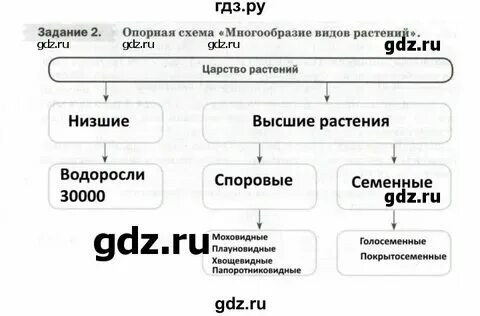 Лабораторная по биологии 7 класс пасечник