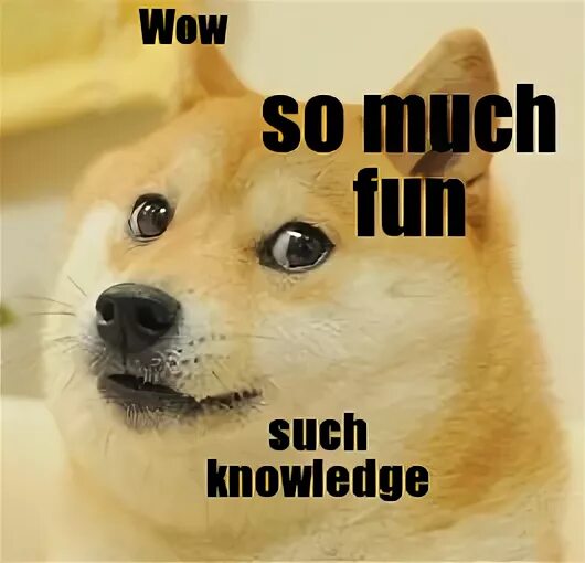 Such. So much wow. Such wow. Doge wow. Such ru