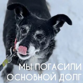 Март долги