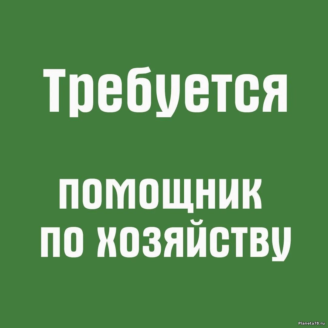 Требуется помощник по хозяйству. Возьму девушку с подселением. Стрижка газона. Частный объявление помощник по хозяйству. Ищу девочку на подселение.
