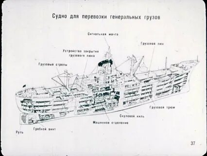 Зу судебное