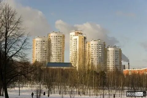 Улица удальцова 50