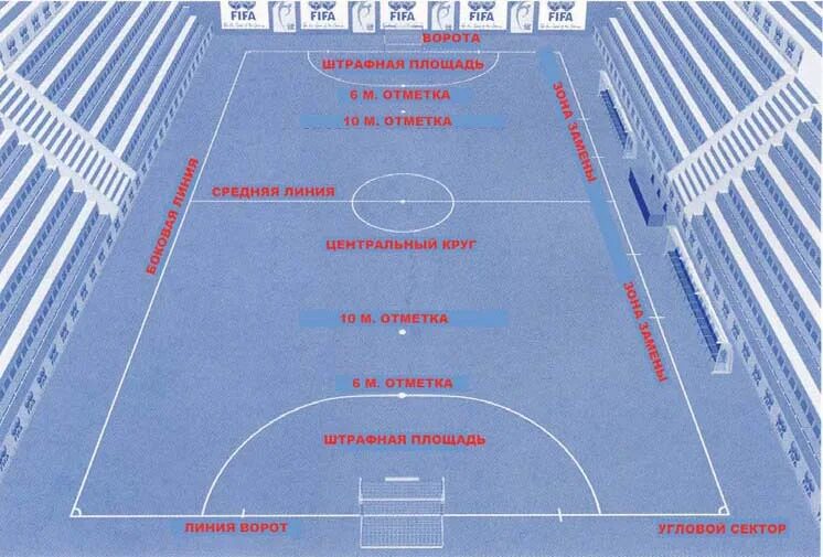 Линии в спортивном зале. Название линий в спортивном зале. Лицевая линия в спортивном зале. Как называются линии в спортзале. На каком расстоянии штрафная линия