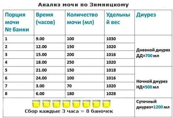 Проба по Зимницкому показатели. Норма анализа проба по Зимницкому. Исследование мочи. Пробы по Зимницкому, норма. Анализ мочи по Зимницкому нормальные показатели. 3 литров мочи