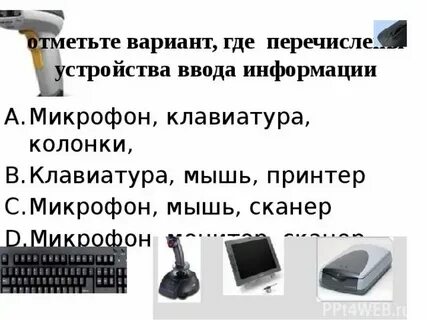 Отметь устройства ввода микрофон монитор наушники сканер