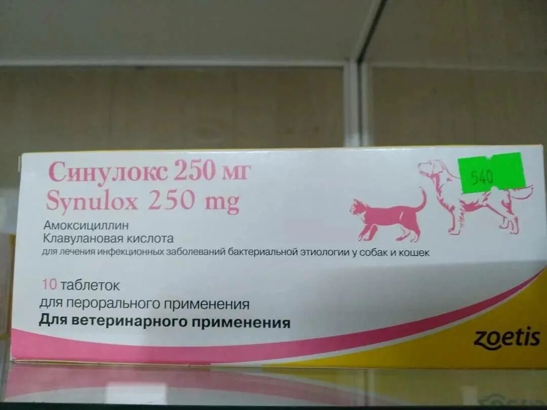 Синулокс для кошек для чего. Синулокс 50 мг для кошек. синулокс (250 мг 10 тб). синулокс 1000. синулокс 250мг зоосфера.