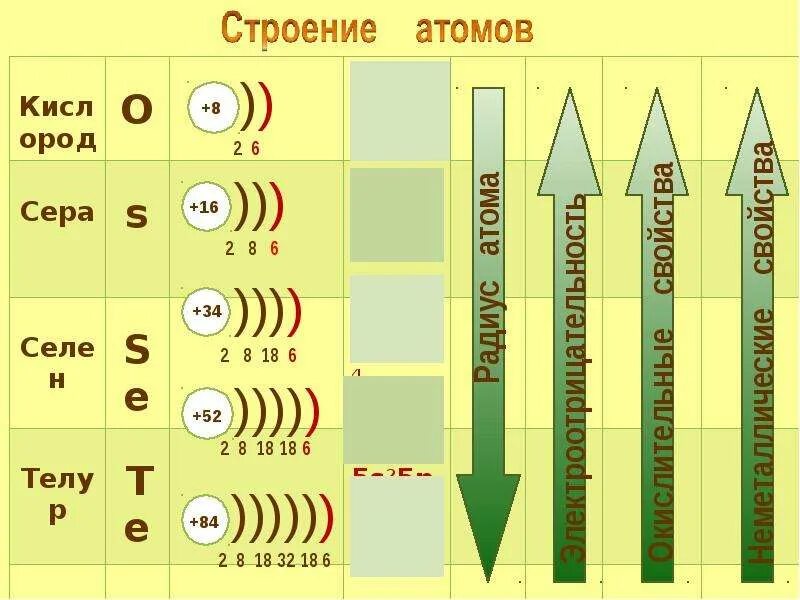 В ряду элементов o s se te. Радиус атома. Радиус атома se. Схемы строения атомов se и te. Строение атомный радиус серы.