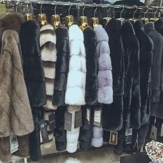 Шубы садовод