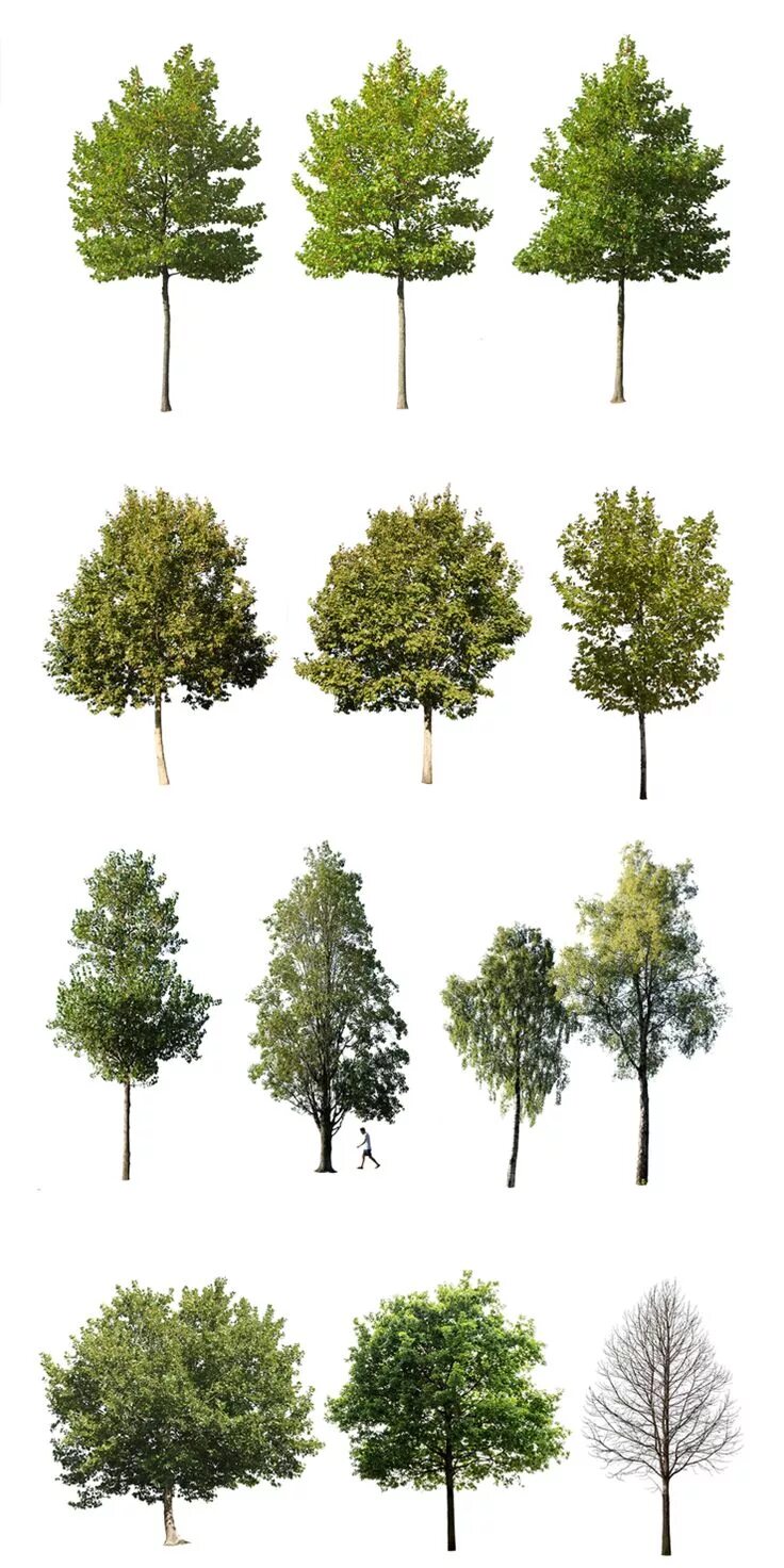 Trees pack