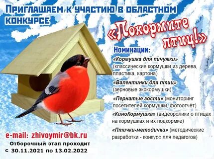 Зимующие птицы мероприятие в библиотеке