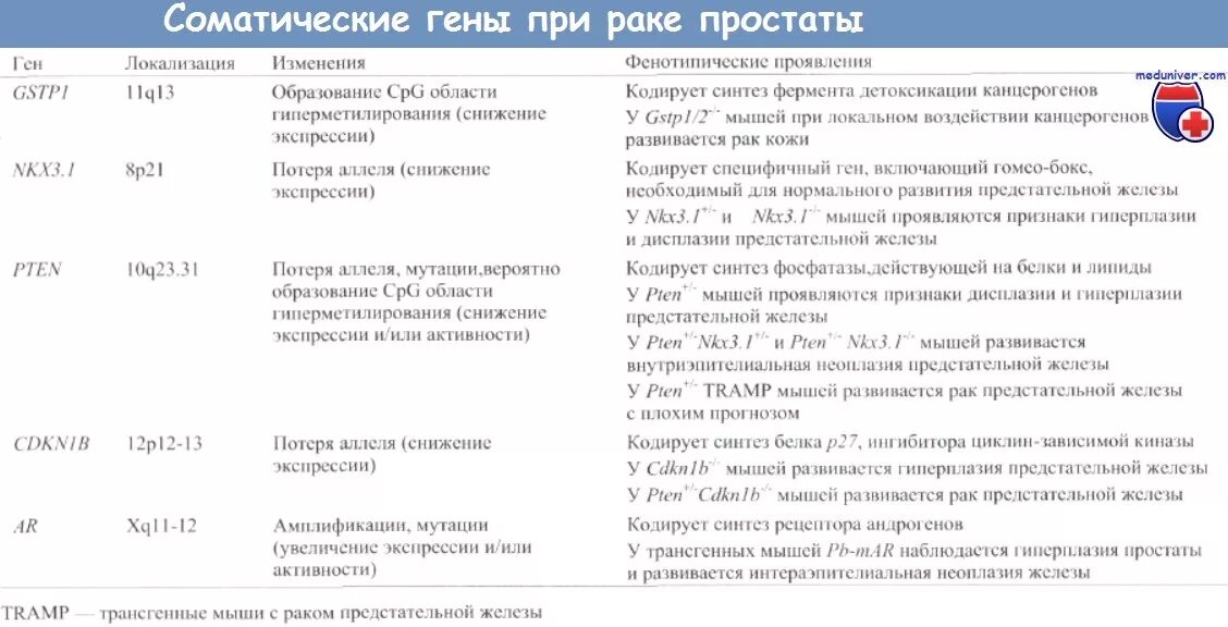 Исследование простаты на онкологию. Анализ крови на онкологию предстательной железы название. Анализ на мутации при онкологии. Анализ на генетическую мутацию онкология.