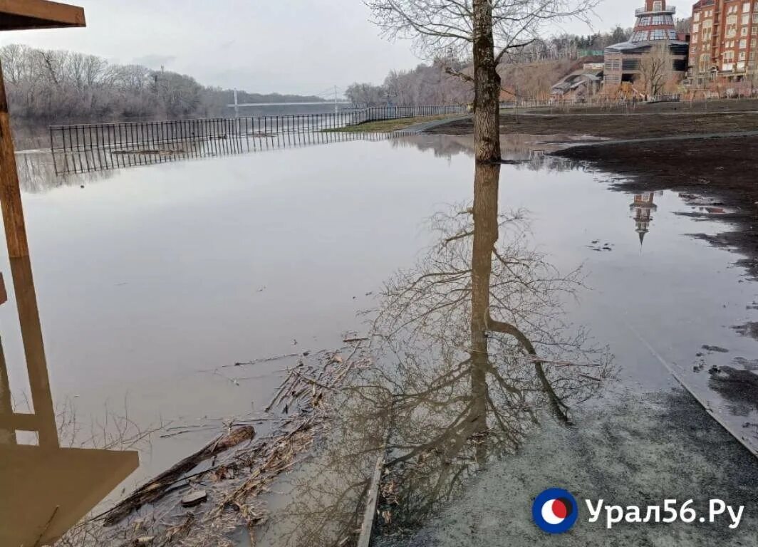 Вода в реке урал город оренбург
